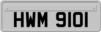 HWM9101