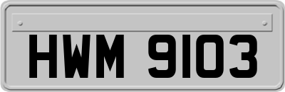 HWM9103