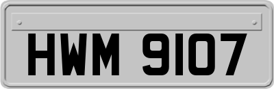 HWM9107