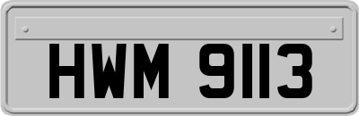 HWM9113