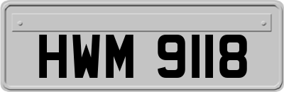 HWM9118