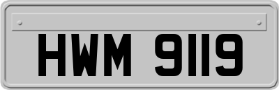 HWM9119