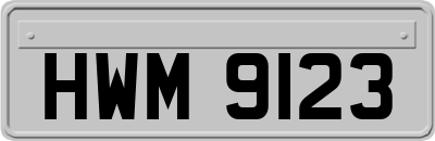 HWM9123