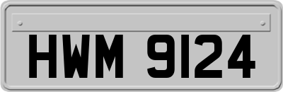 HWM9124