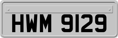 HWM9129