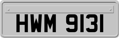 HWM9131
