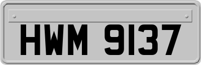 HWM9137