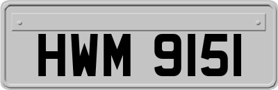 HWM9151
