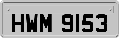 HWM9153
