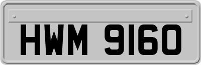 HWM9160