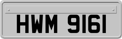 HWM9161