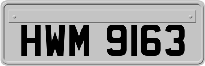 HWM9163