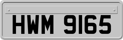 HWM9165