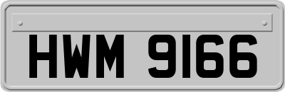 HWM9166