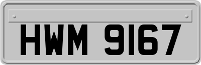 HWM9167