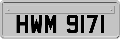 HWM9171