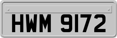 HWM9172