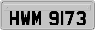 HWM9173