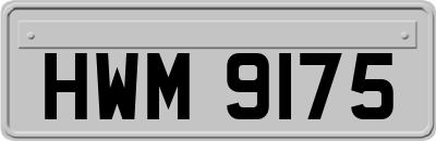 HWM9175