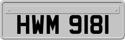 HWM9181