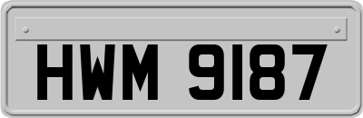 HWM9187