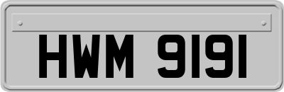 HWM9191