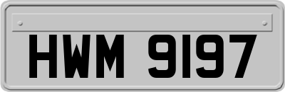 HWM9197