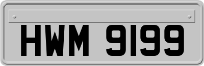 HWM9199