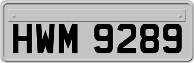 HWM9289