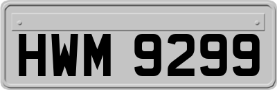 HWM9299