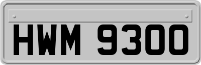 HWM9300