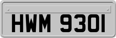 HWM9301