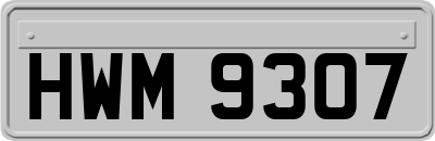 HWM9307