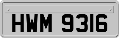 HWM9316