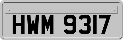 HWM9317