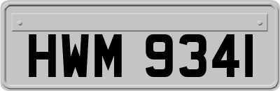 HWM9341