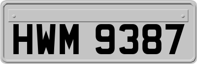 HWM9387