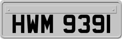 HWM9391