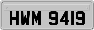 HWM9419