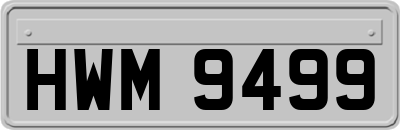 HWM9499