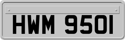 HWM9501