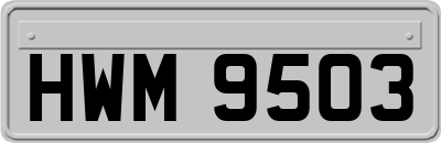 HWM9503