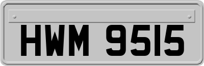 HWM9515