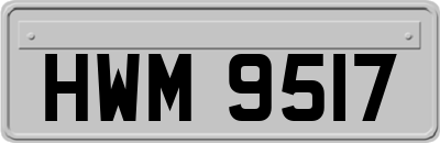 HWM9517