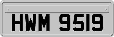 HWM9519