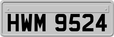 HWM9524