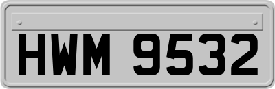 HWM9532