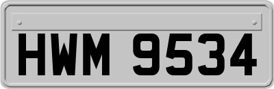 HWM9534