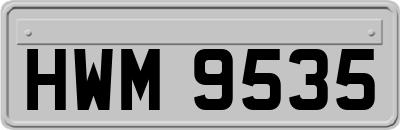 HWM9535