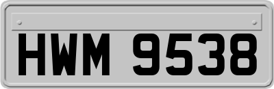 HWM9538